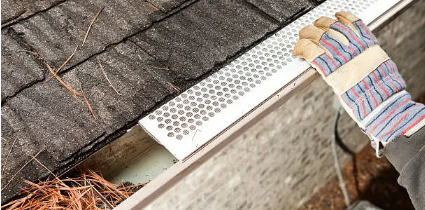 gutter mesh Adelaide